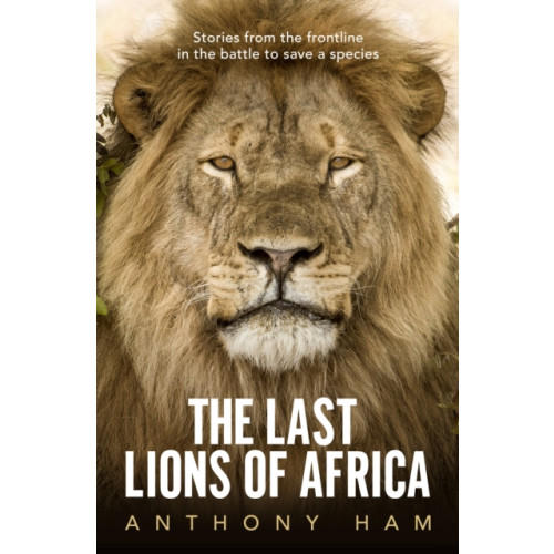 Allen & Unwin The Last Lions of Africa (häftad)