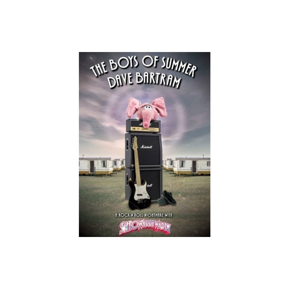 Produktbild för The Boys of Summer (häftad, eng)