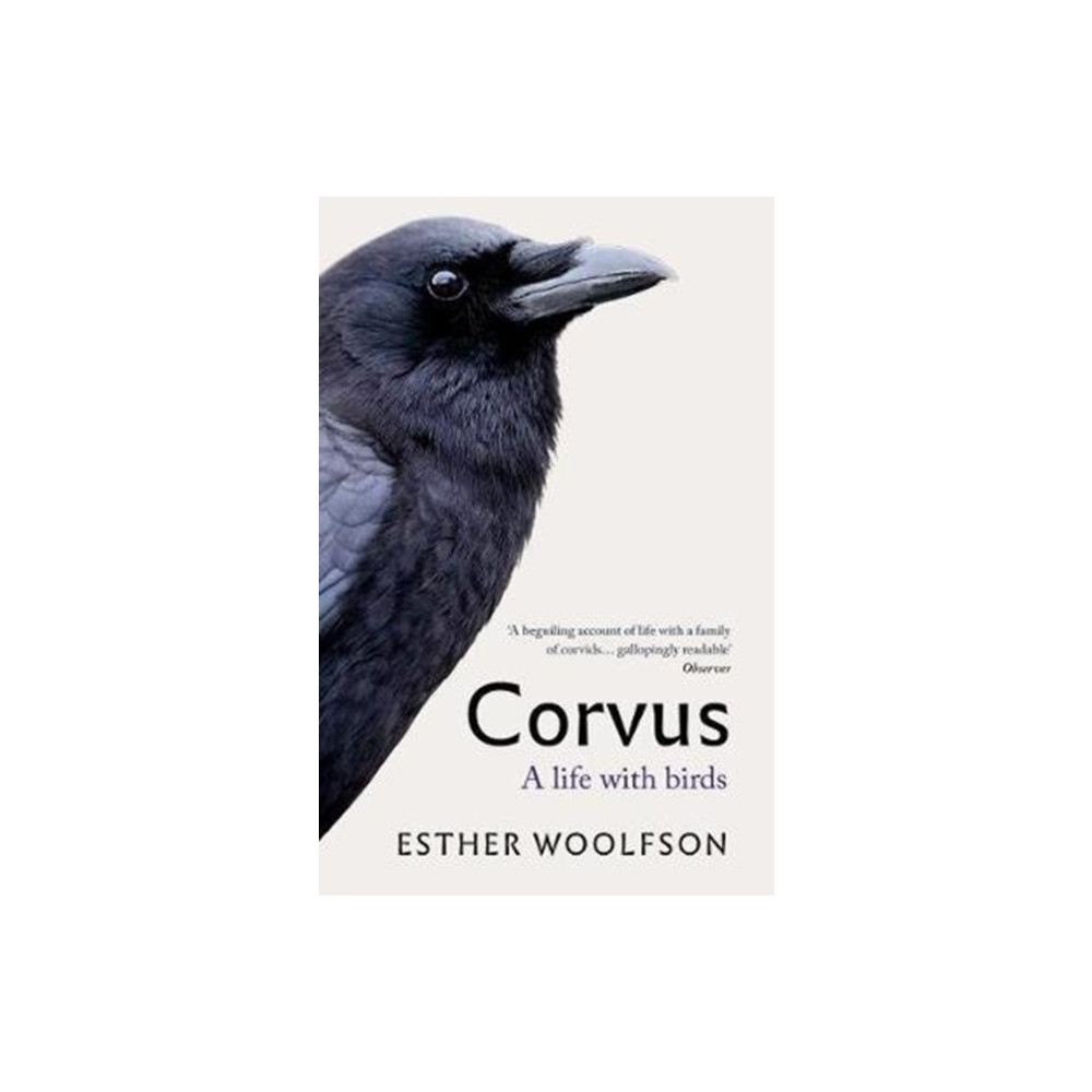 Produktbild för Corvus (häftad, eng)