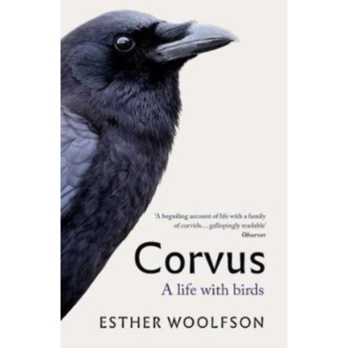 Granta Books Corvus (häftad, eng)