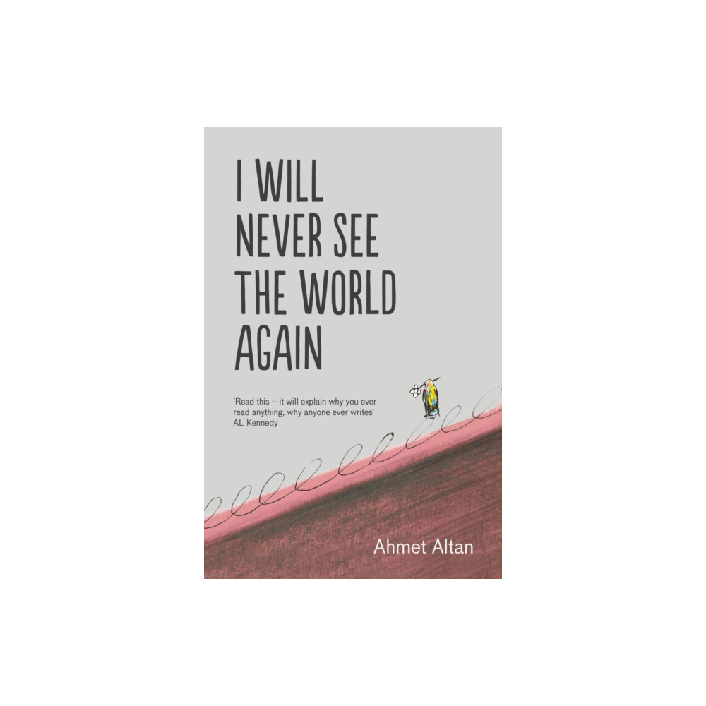 Produktbild för I Will Never See the World Again (häftad, eng)