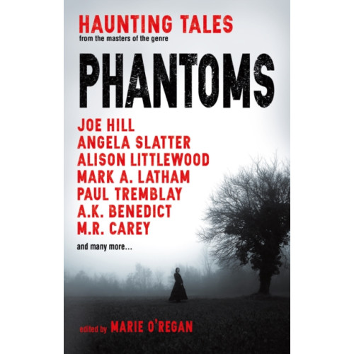 Titan Books Ltd Phantoms: Haunting Tales from Masters of the Genre (häftad)