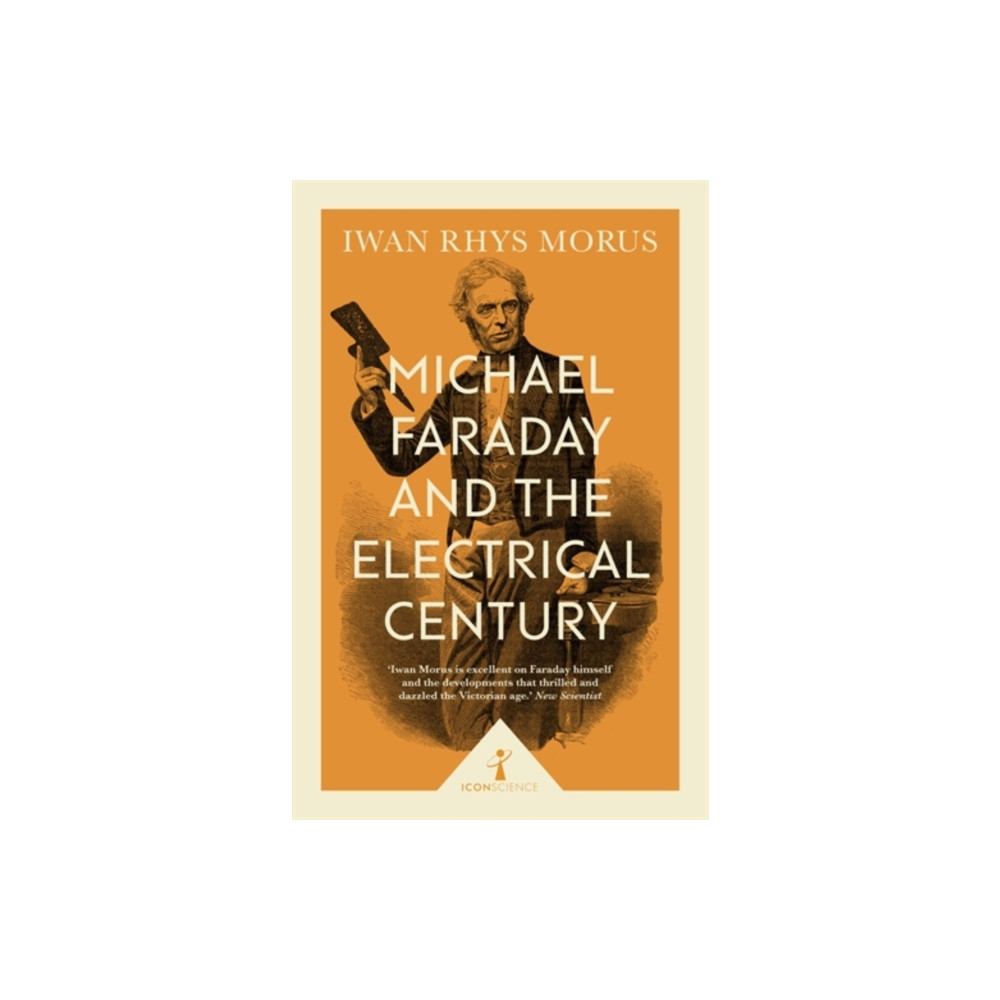Produktbild för Michael Faraday and the Electrical Century (Icon Science) (häftad, eng)