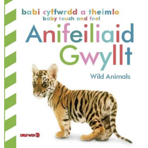 Dref Wen Babi Cyffwrdd a Theimlo: Anifeiliaid Gwyllt / Baby Touch and Feel: Wild Animals (inbunden, eng)