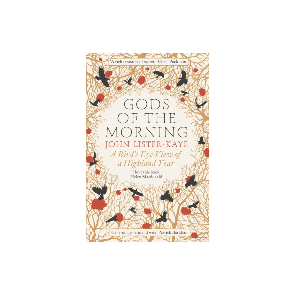Produktbild för Gods of the Morning (häftad, eng)