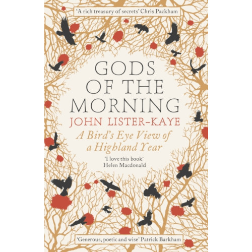 Canongate Books Gods of the Morning (häftad, eng)