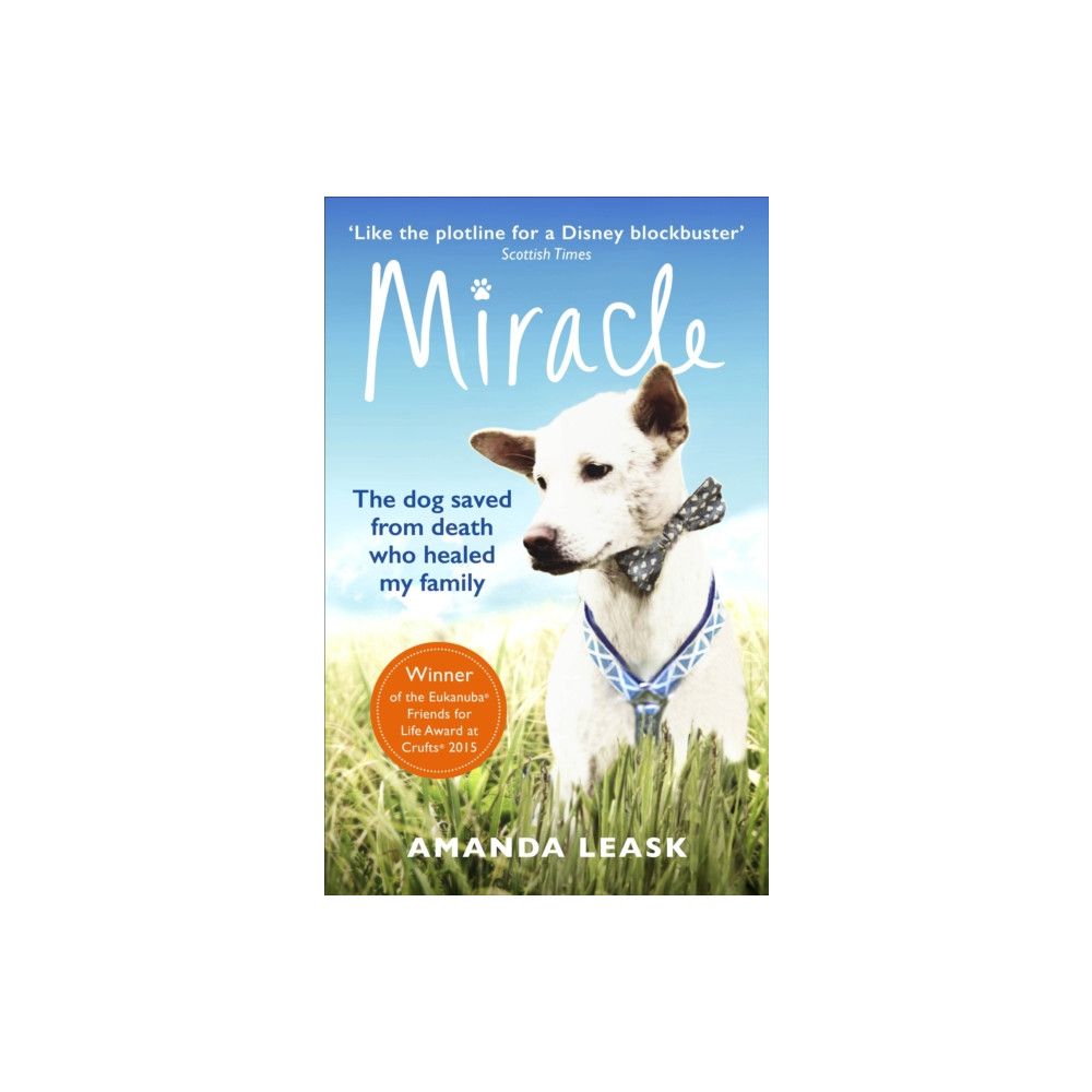 Produktbild för Miracle (häftad, eng)