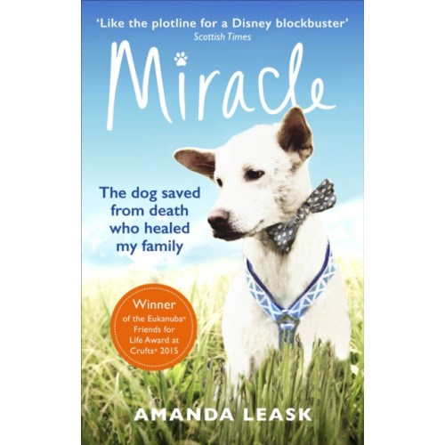 Ebury Publishing Miracle (häftad, eng)