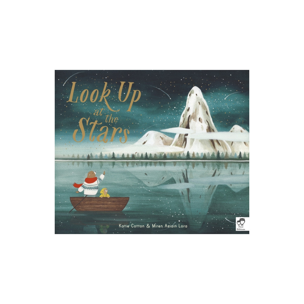 Produktbild för Look Up at the Stars (häftad, eng)