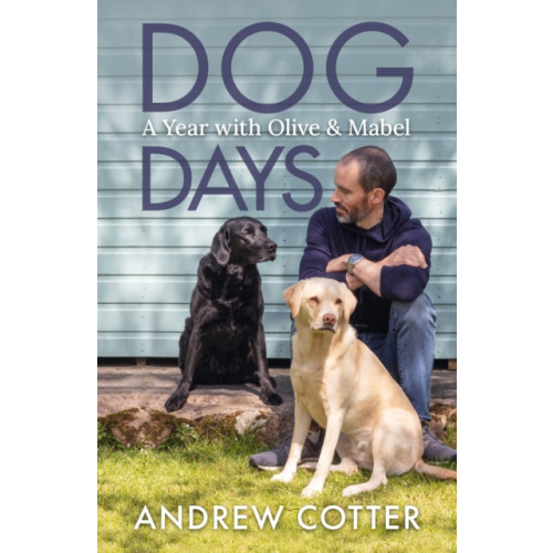 Bonnier Books Ltd Dog Days (inbunden, eng)