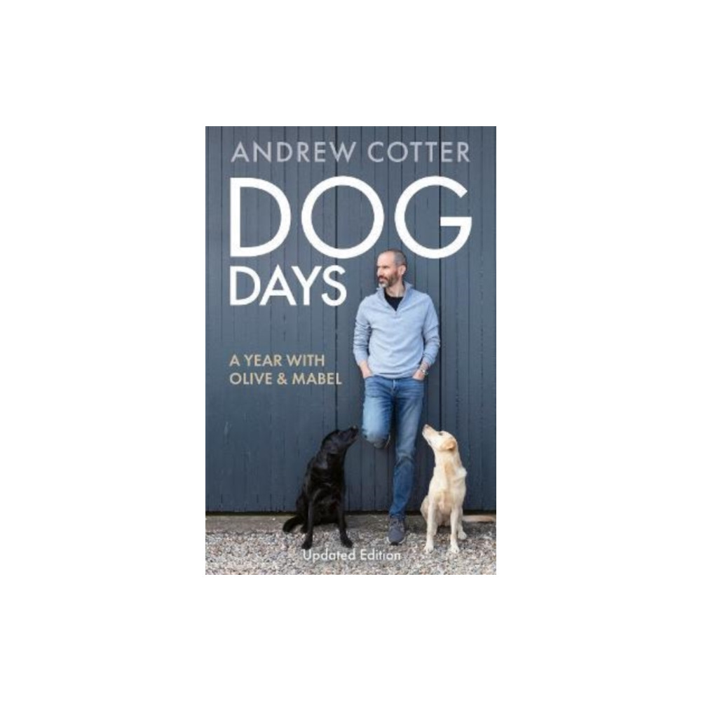 Produktbild för Dog Days (häftad, eng)