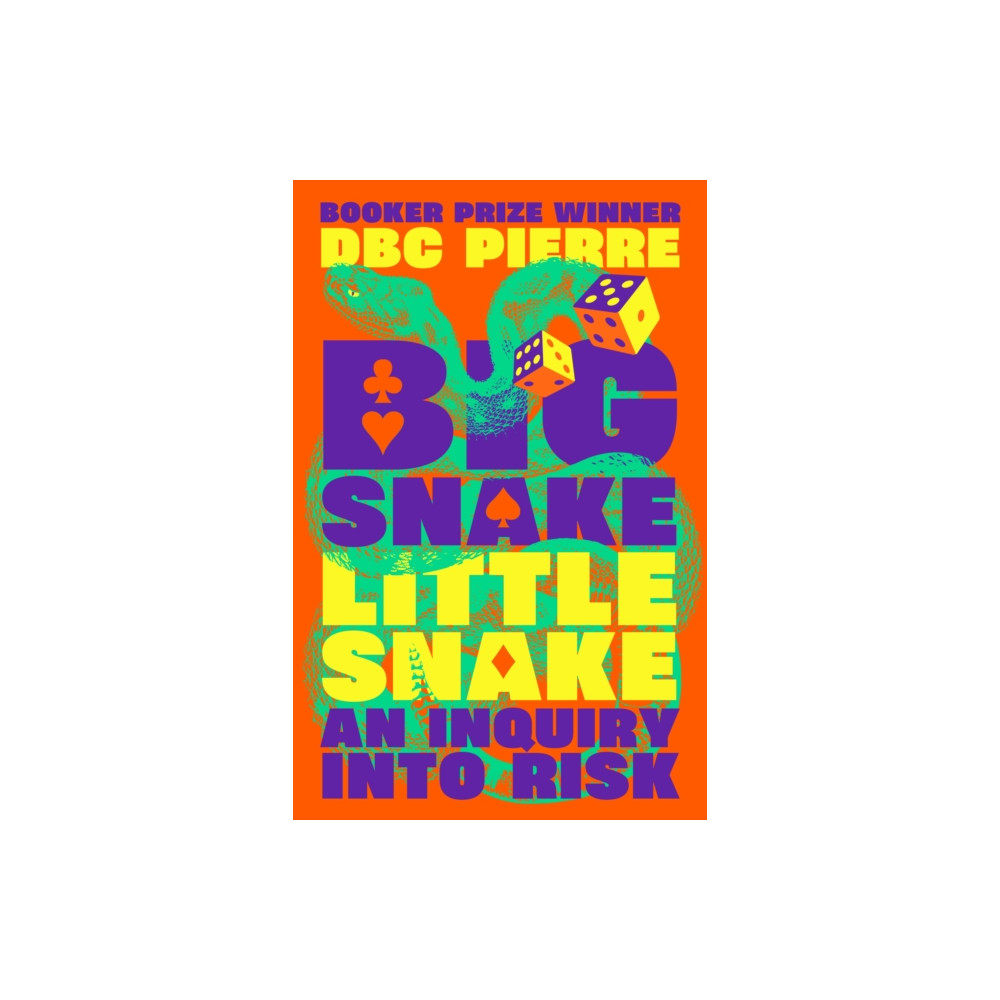 Produktbild för Big Snake Little Snake (inbunden, eng)