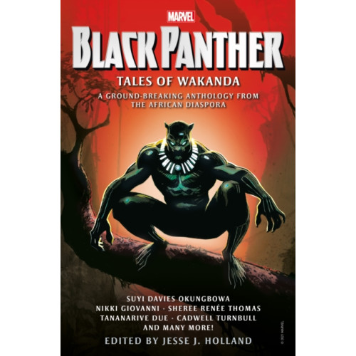 Titan Books Ltd Black Panther: Tales of Wakanda (häftad, eng)
