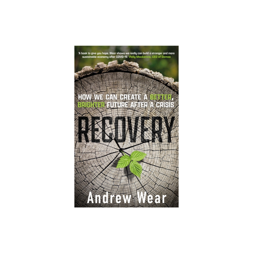 Produktbild för Recovery (inbunden, eng)