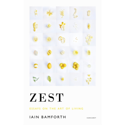 Carcanet Press Ltd Zest (häftad, eng)