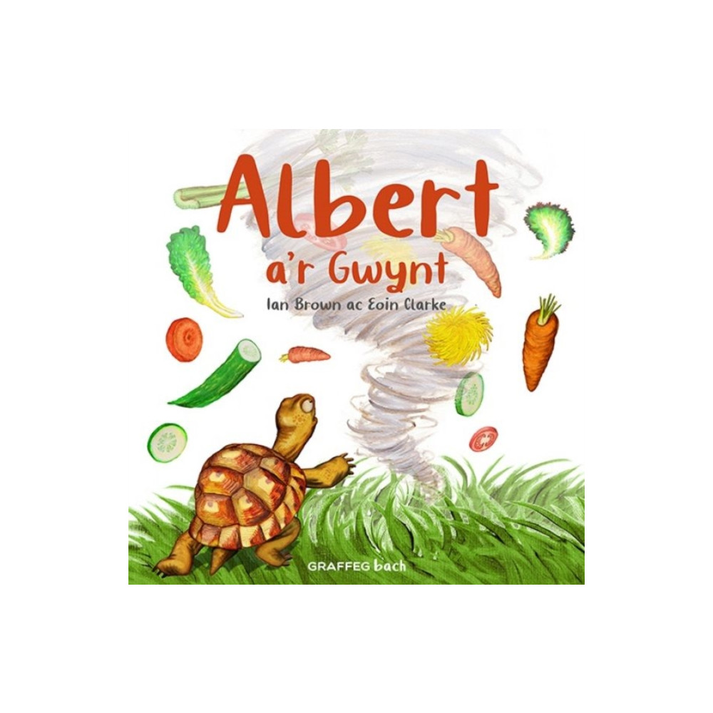 Produktbild för Albert a'r Gwynt (häftad, wel)