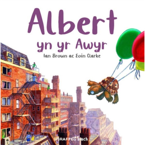 Graffeg Limited Albert yn yr Awyr (häftad, wel)