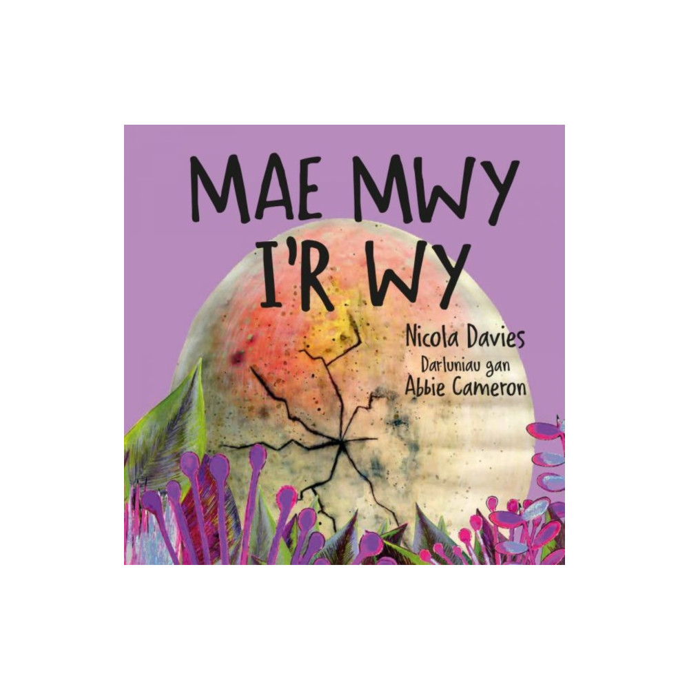 Produktbild för Mae Mwy I’r Wy (häftad, wel)
