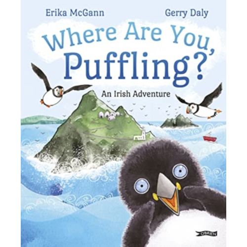 O'Brien Press Ltd Where Are You, Puffling? (häftad, eng)