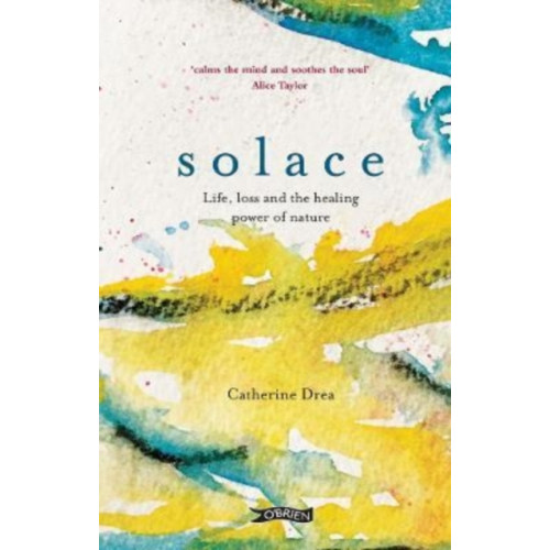 O'Brien Press Ltd Solace (inbunden, eng)