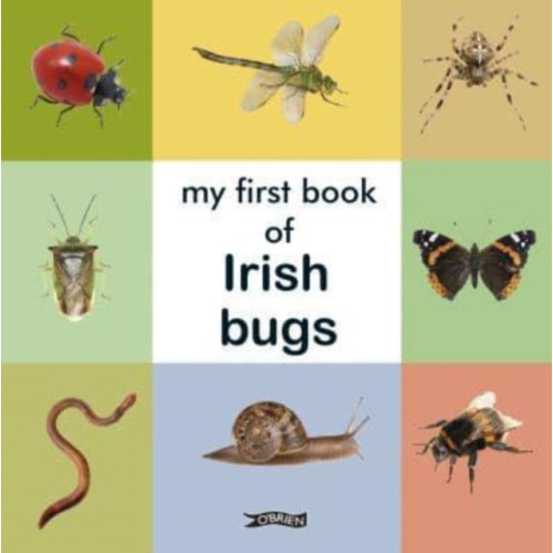 O'Brien Press Ltd My First Book of Irish Bugs (bok, board book, eng)