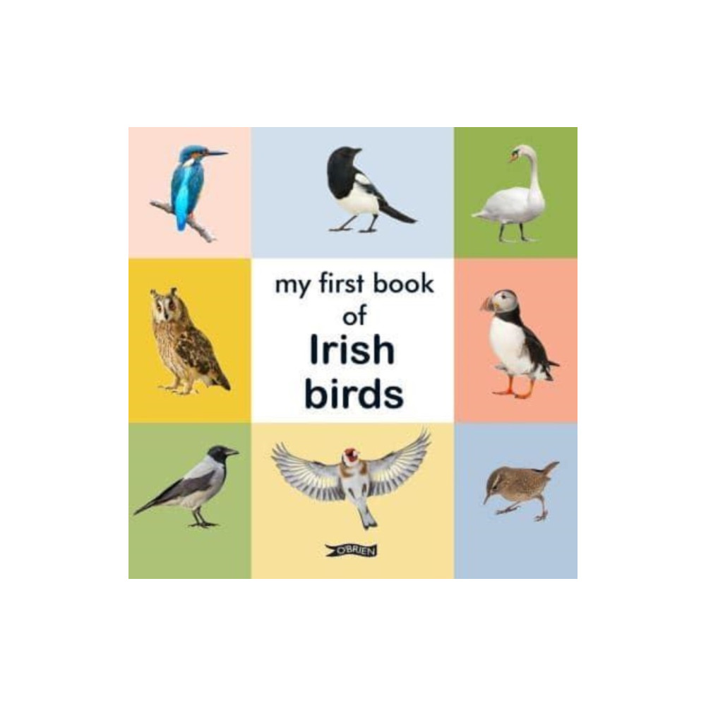 Produktbild för My First Book of Irish Birds (bok, board book, eng)