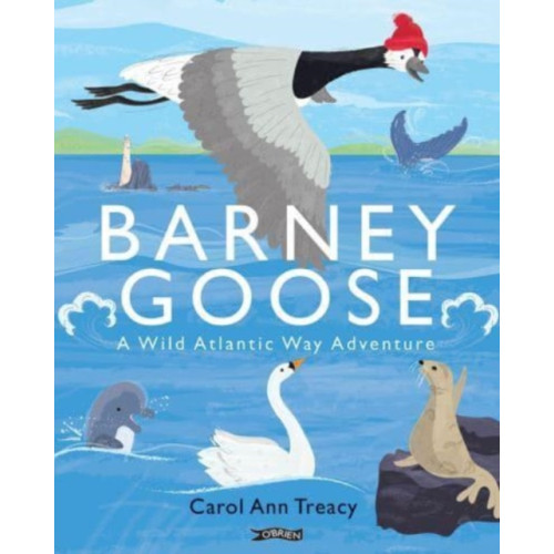 O'Brien Press Ltd Barney Goose (häftad, eng)