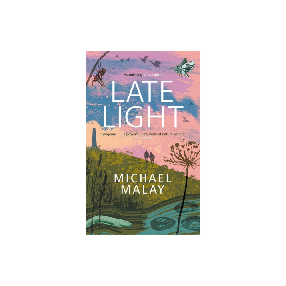 Produktbild för Late Light (häftad, eng)