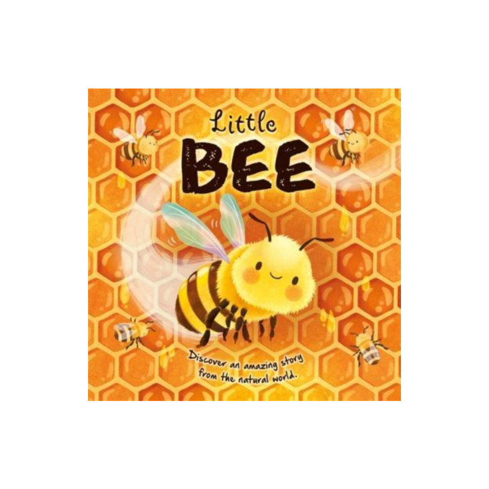 Produktbild för Little Bee (inbunden, eng)