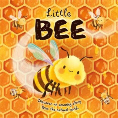 Bonnier Books Ltd Little Bee (inbunden, eng)