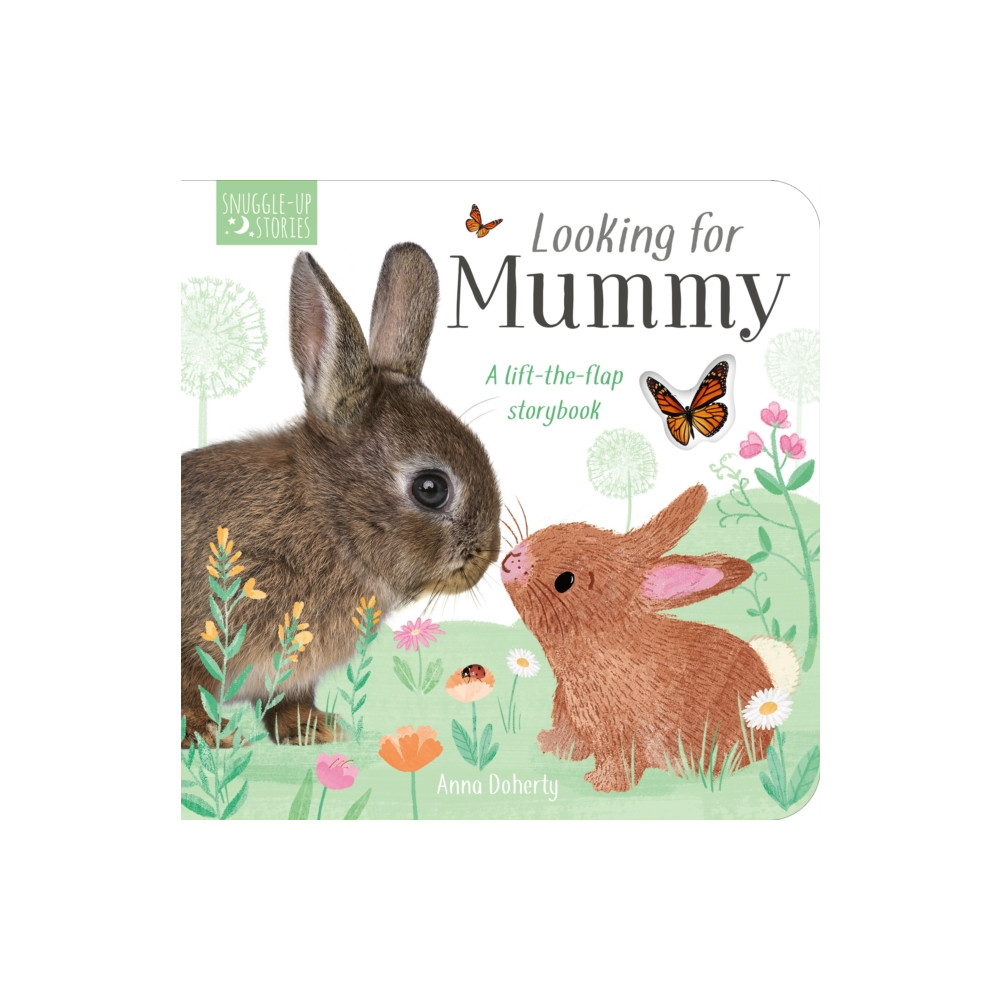 Produktbild för Looking for Mummy (bok, board book, eng)