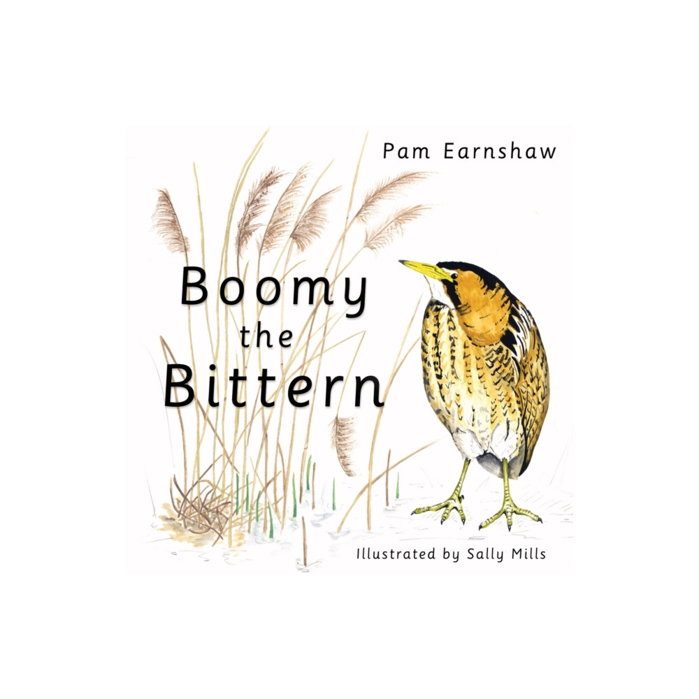 Produktbild för Boomy the Bittern (häftad, eng)