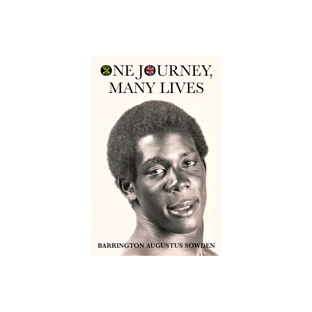 Produktbild för One Journey, Many Lives (häftad, eng)