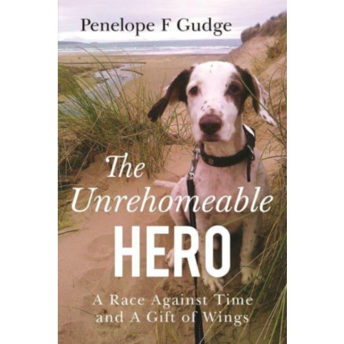 Olympia Publishers The Unrehomeable Hero, A Race Against Time & A Gift of Wings (häftad, eng)