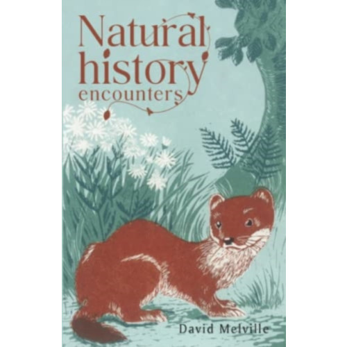 Olympia Publishers Natural History Encounters (häftad, eng)