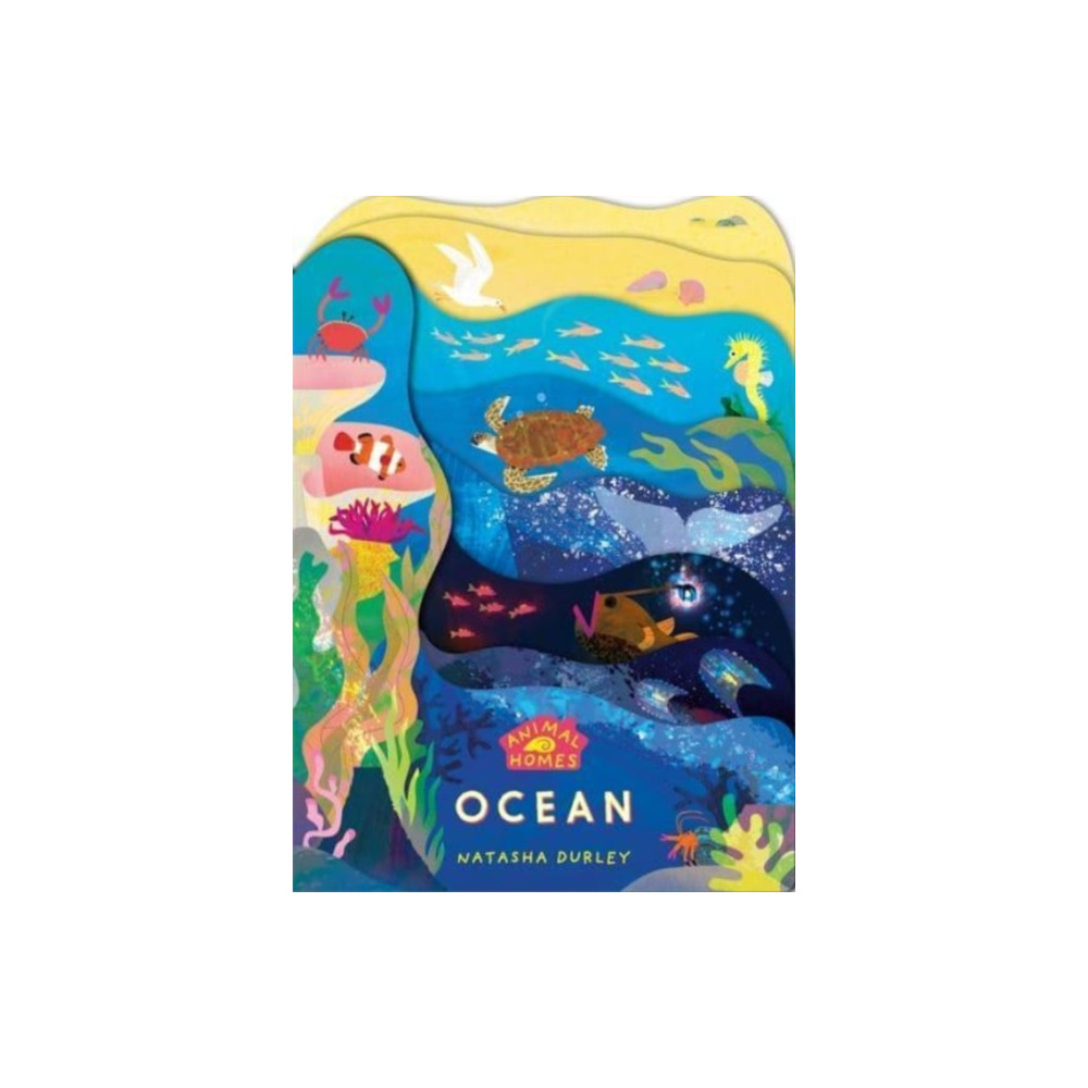 Produktbild för Animal Homes: Ocean (bok, board book, eng)