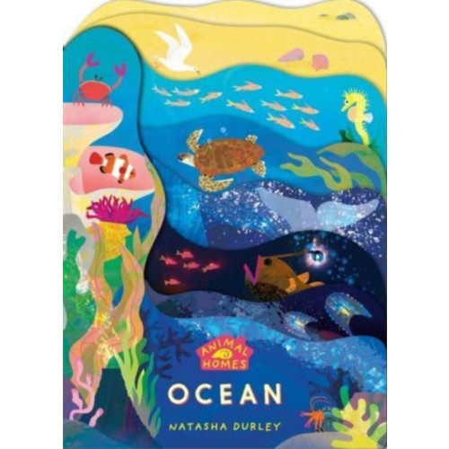 Templar Publishing Animal Homes: Ocean (bok, board book, eng)