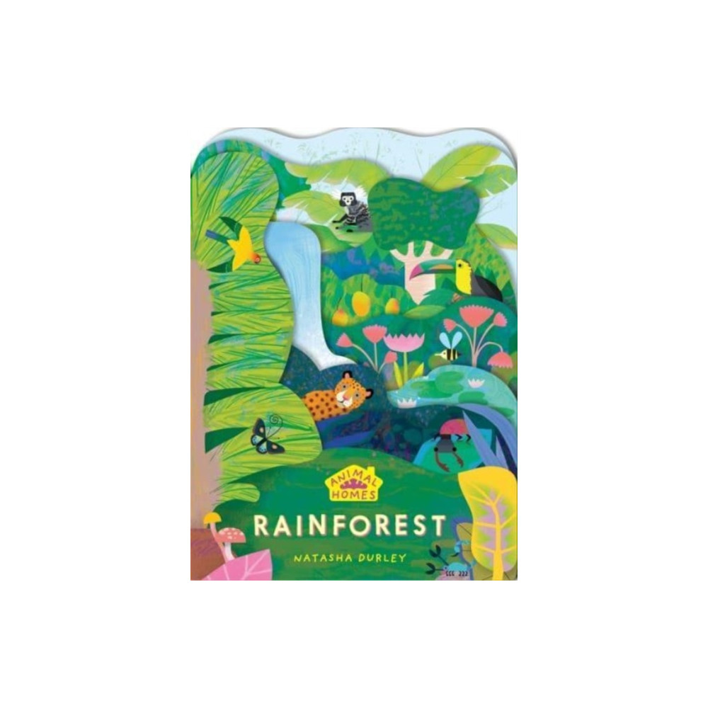 Produktbild för Animal Homes: Rainforest (bok, board book, eng)