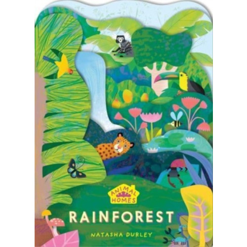 Templar Publishing Animal Homes: Rainforest (bok, board book, eng)