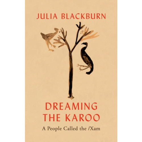 Vintage Publishing Dreaming the Karoo (inbunden, eng)