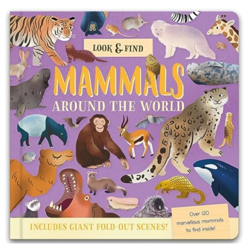 North Parade Publishing Look & Find (inbunden, eng)