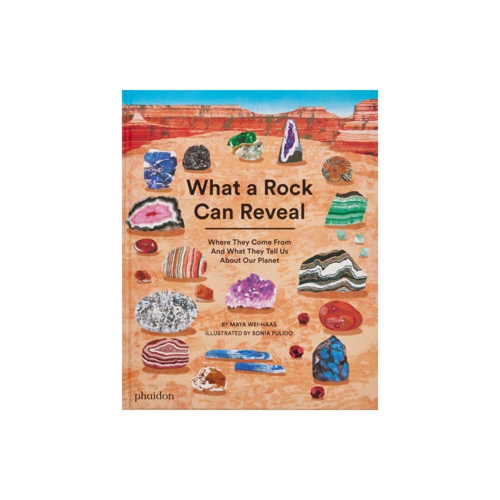 Produktbild för What a Rock Can Reveal (inbunden, eng)