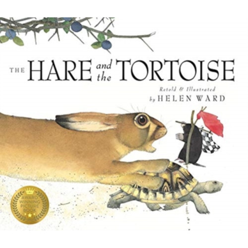 Templar Publishing The Hare and the Tortoise (häftad, eng)