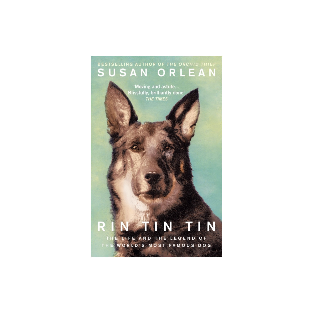 Produktbild för Rin Tin Tin (häftad, eng)