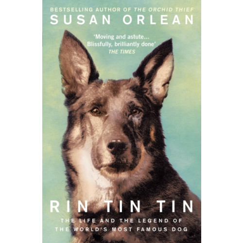 Atlantic Books Rin Tin Tin (häftad, eng)