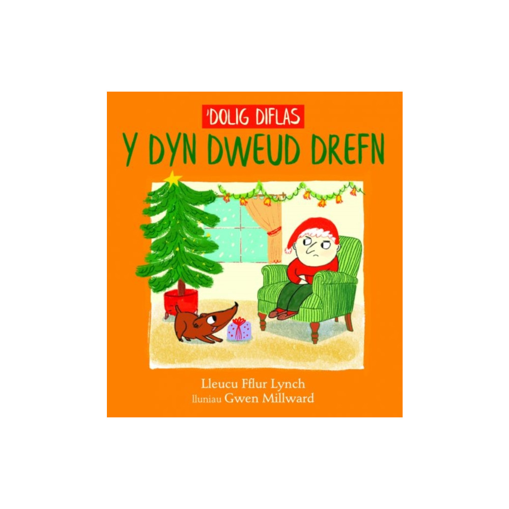 Produktbild för 'Dolig Diflas y Dyn Dweud Drefn (häftad, wel)