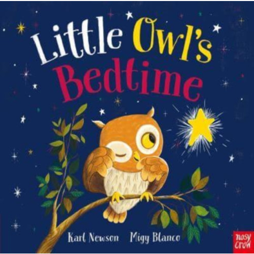 Nosy Crow Ltd Little Owl's Bedtime (häftad, eng)