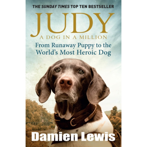 Quercus Publishing Judy: A Dog in a Million (häftad, eng)