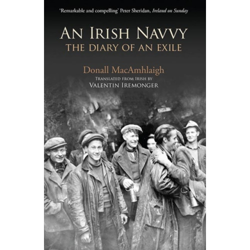 Gill An Irish Navvy (häftad, eng)
