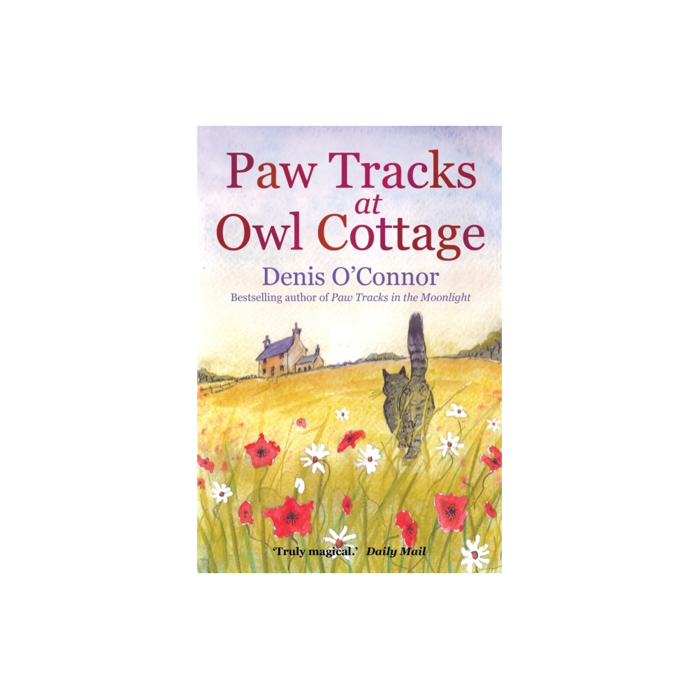 Produktbild för Paw Tracks at Owl Cottage (häftad, eng)